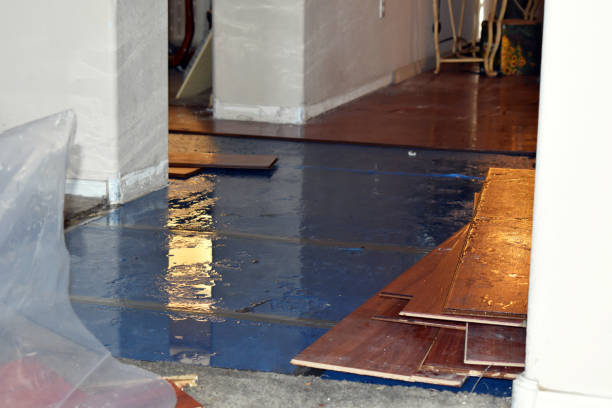 Professional Water Extraction technician working in Mims, FL